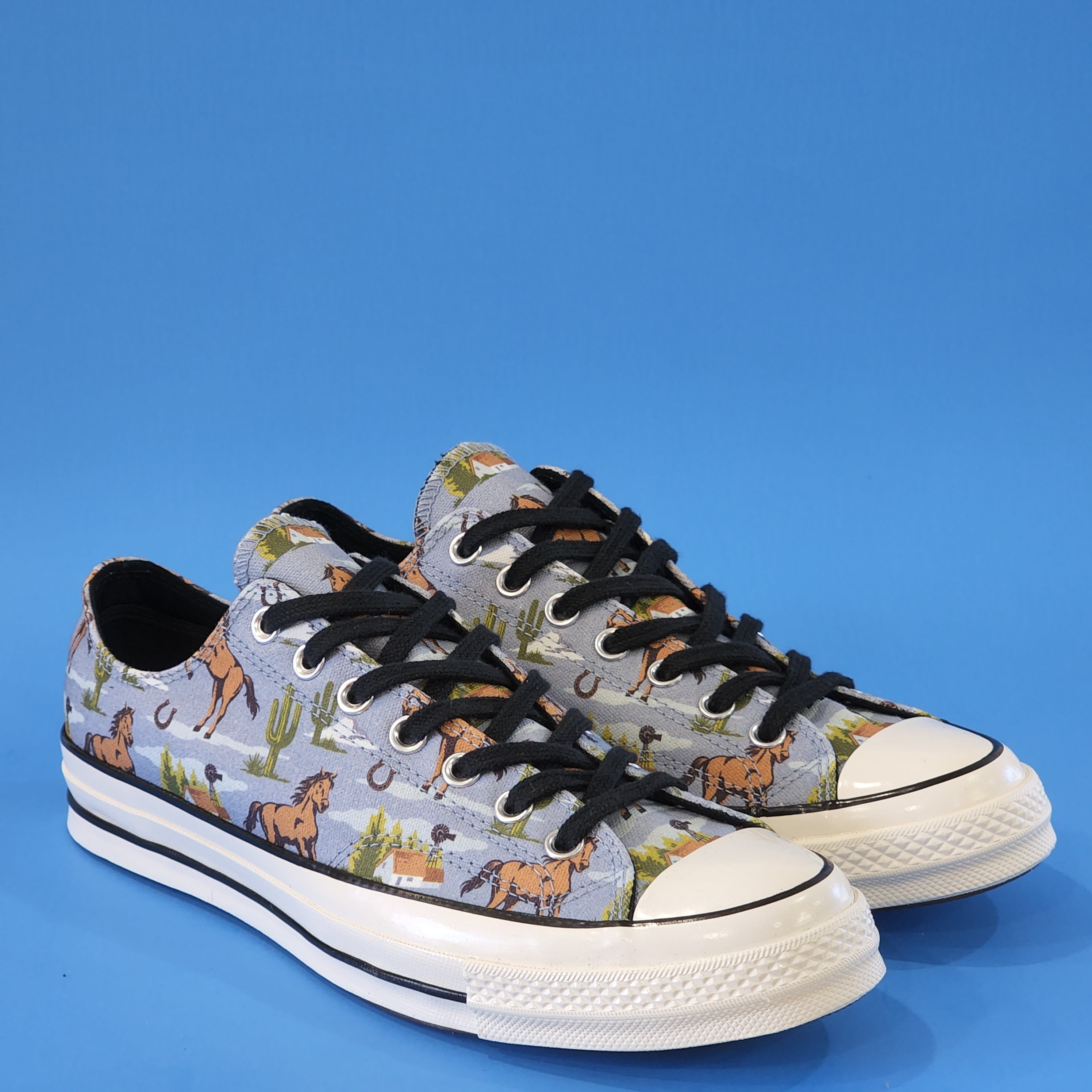 Converse Chuck 70 Low Ox Twisted Resort Canvas Unisex Sneakers 169820C