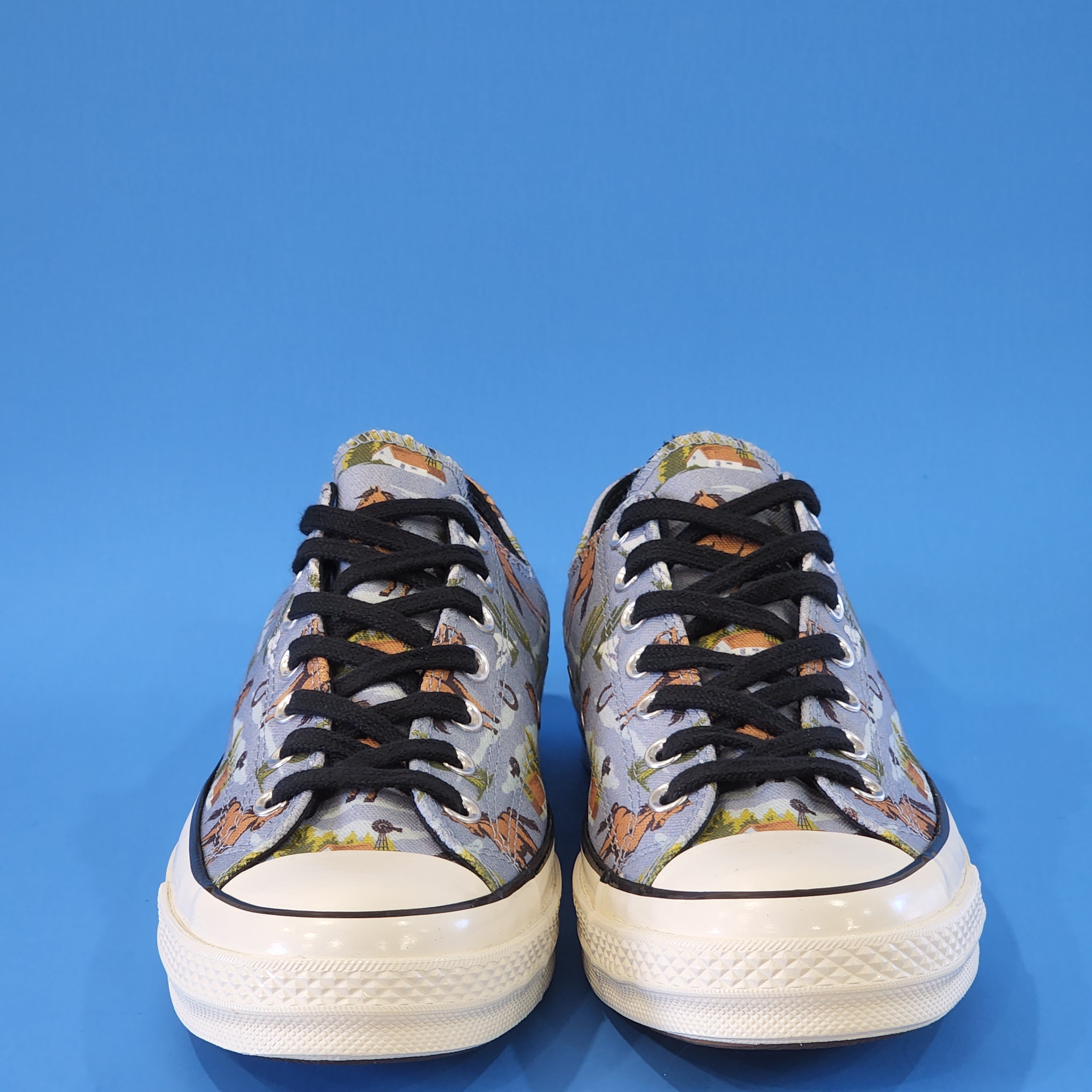 Converse Chuck 70 Low Ox Twisted Resort Canvas Unisex Sneakers 169820C NWTZ